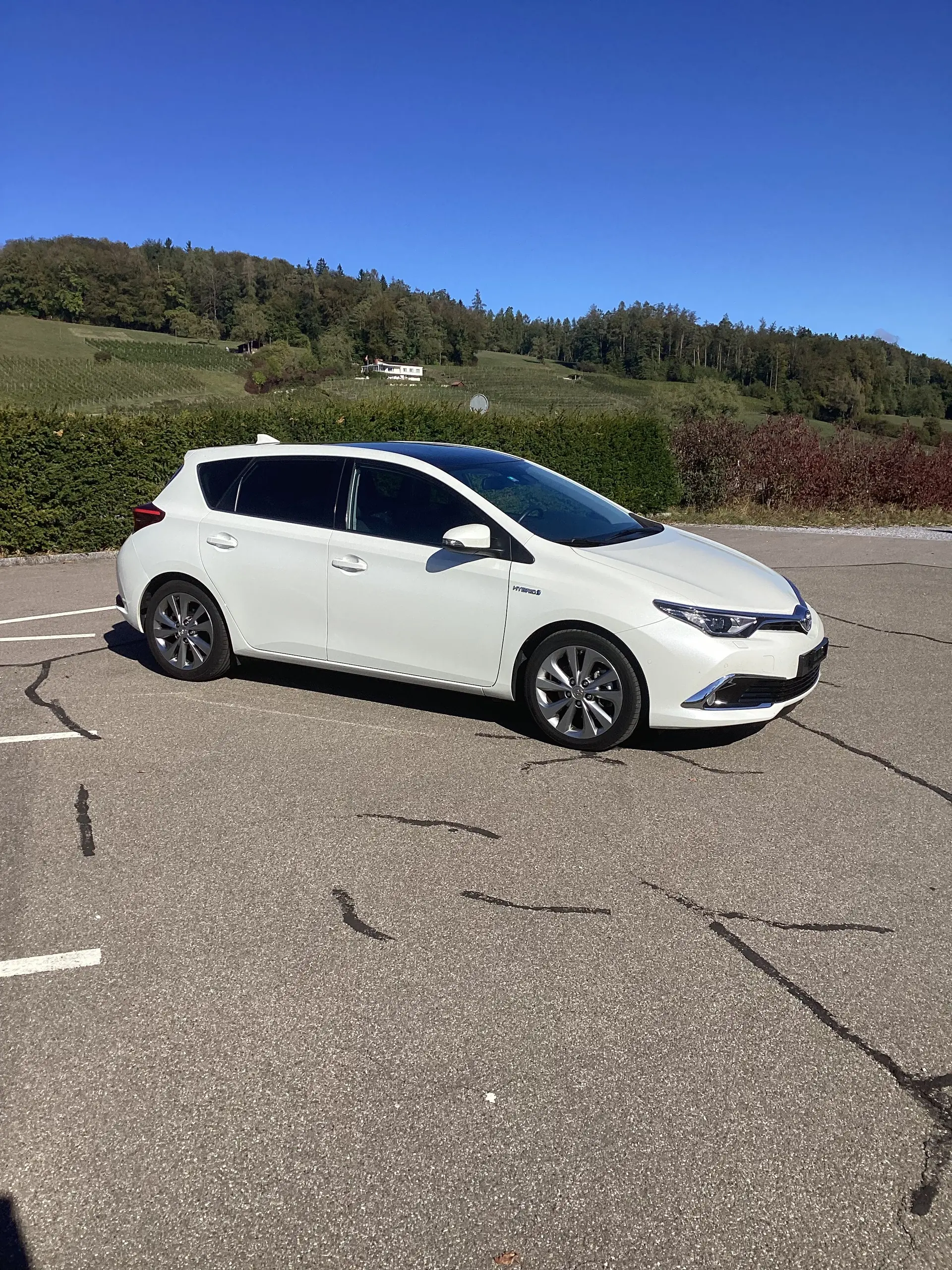 Toyota Auris 2016 occasion Aesch — 1