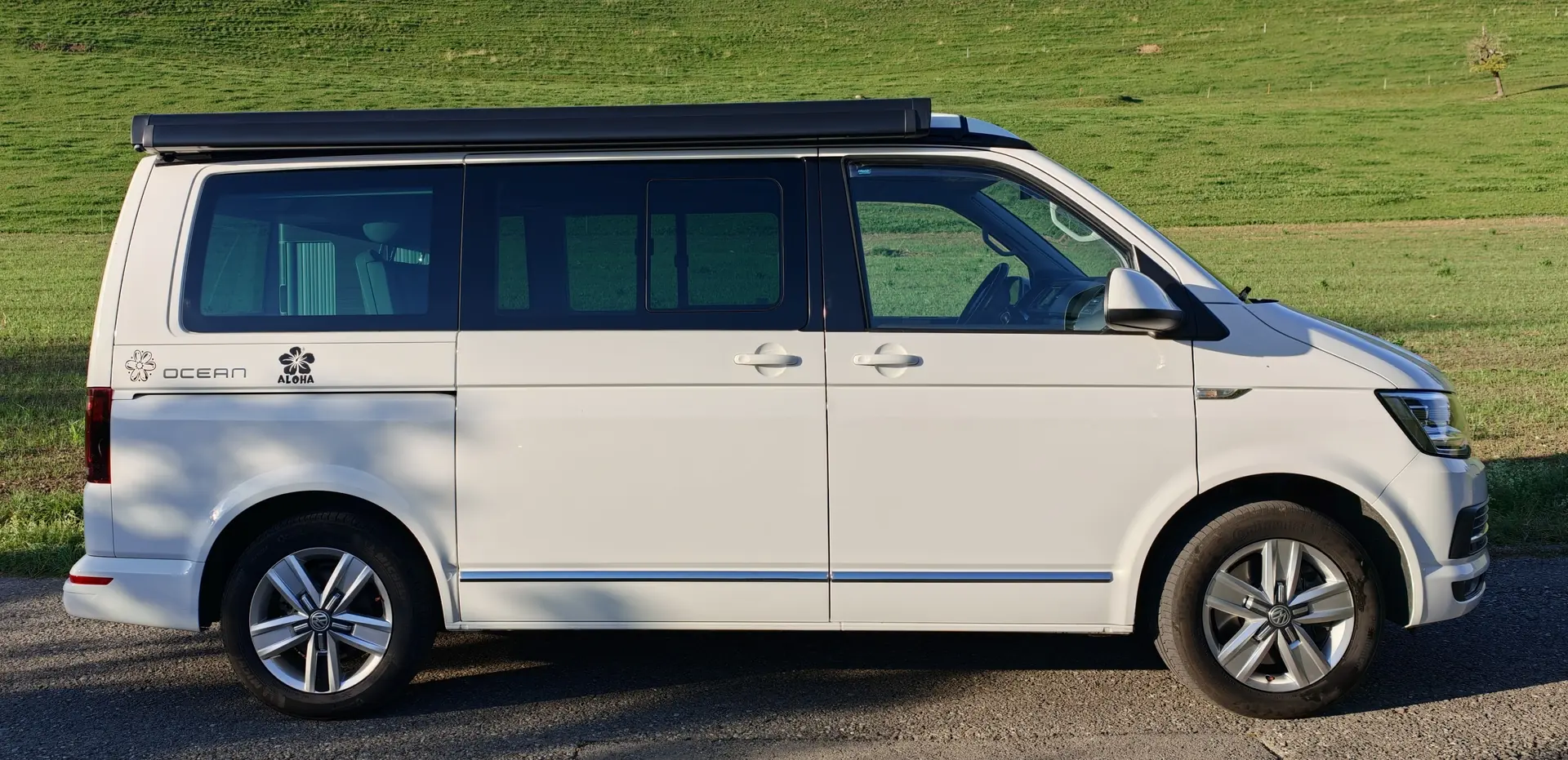 Volkswagen T6 2017 occasion Gwatt (Thun) — 2