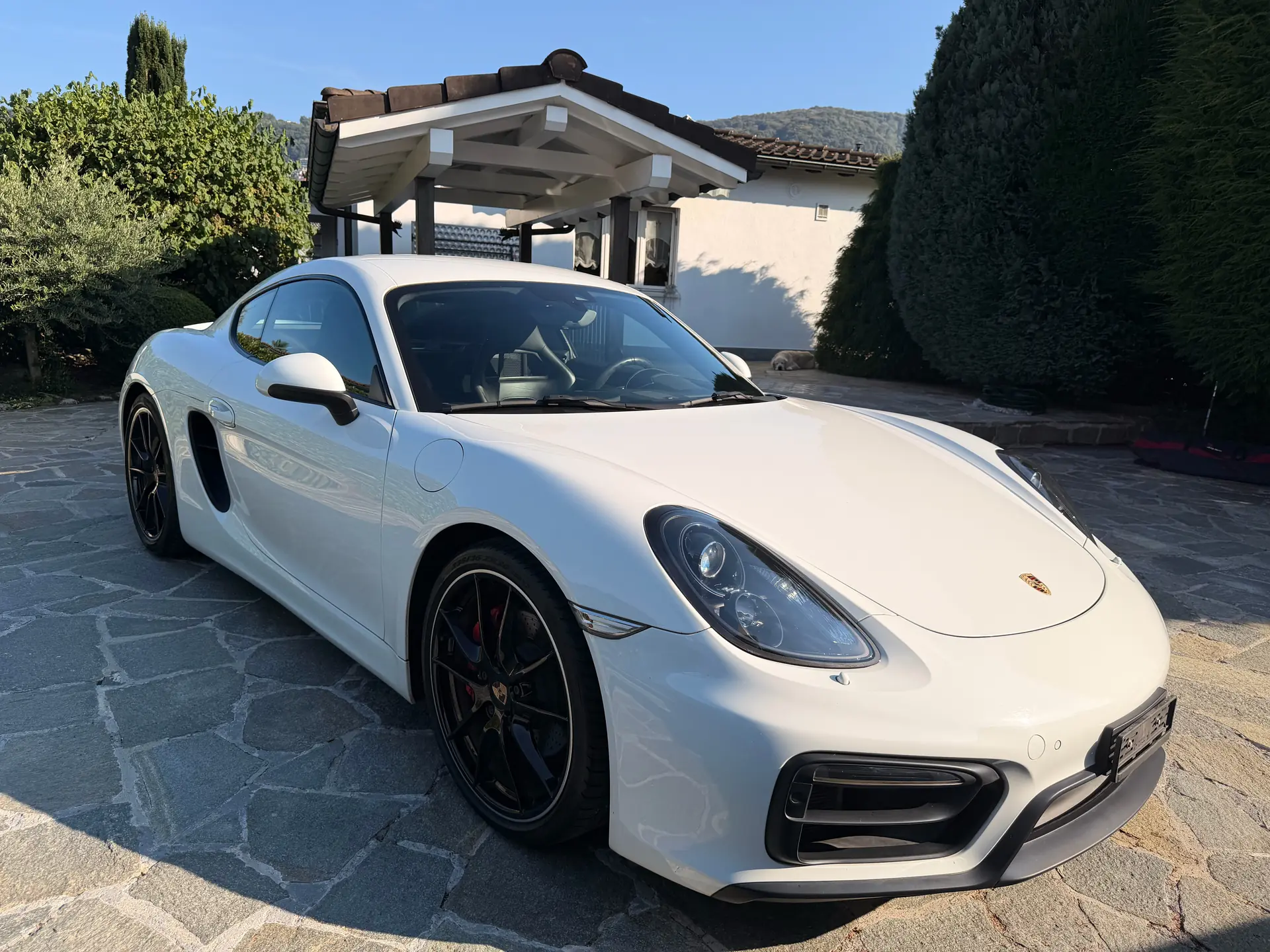 Porsche 718 Boxster Cayman 2014 occasion Magliaso — 2