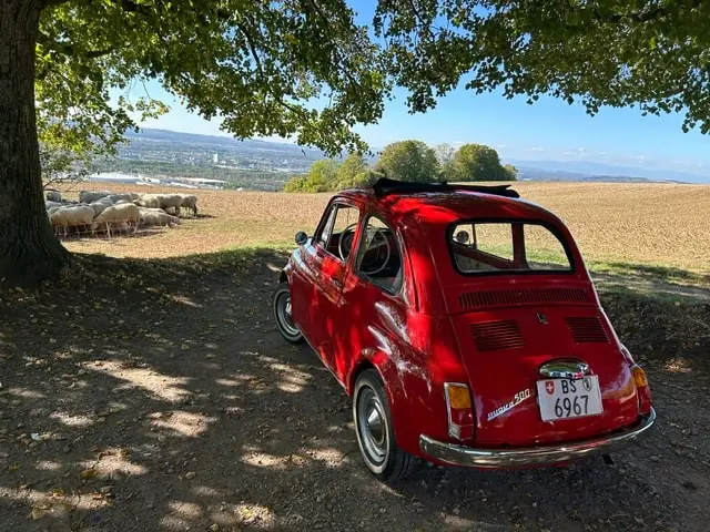 Fiat 500 1971 occasion Riehen — 5