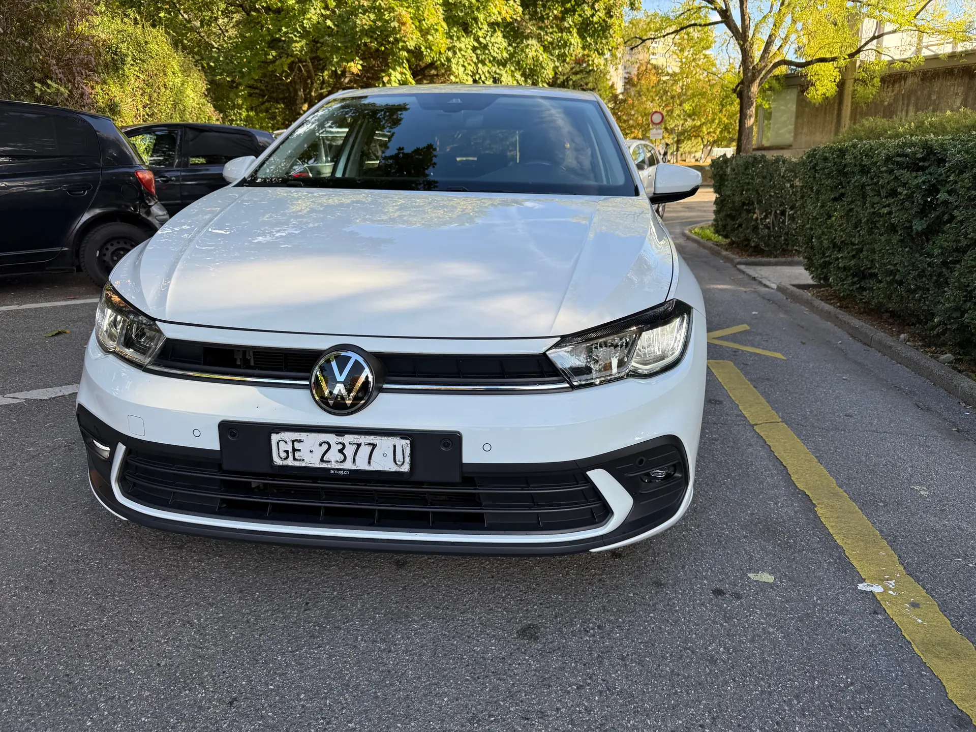 Volkswagen Polo 2023 occasion Meyrin — 3