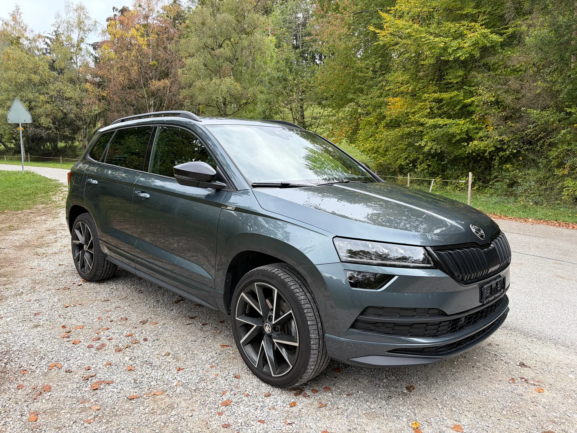 Skoda Karoq 2019 occasion Morlon — 2