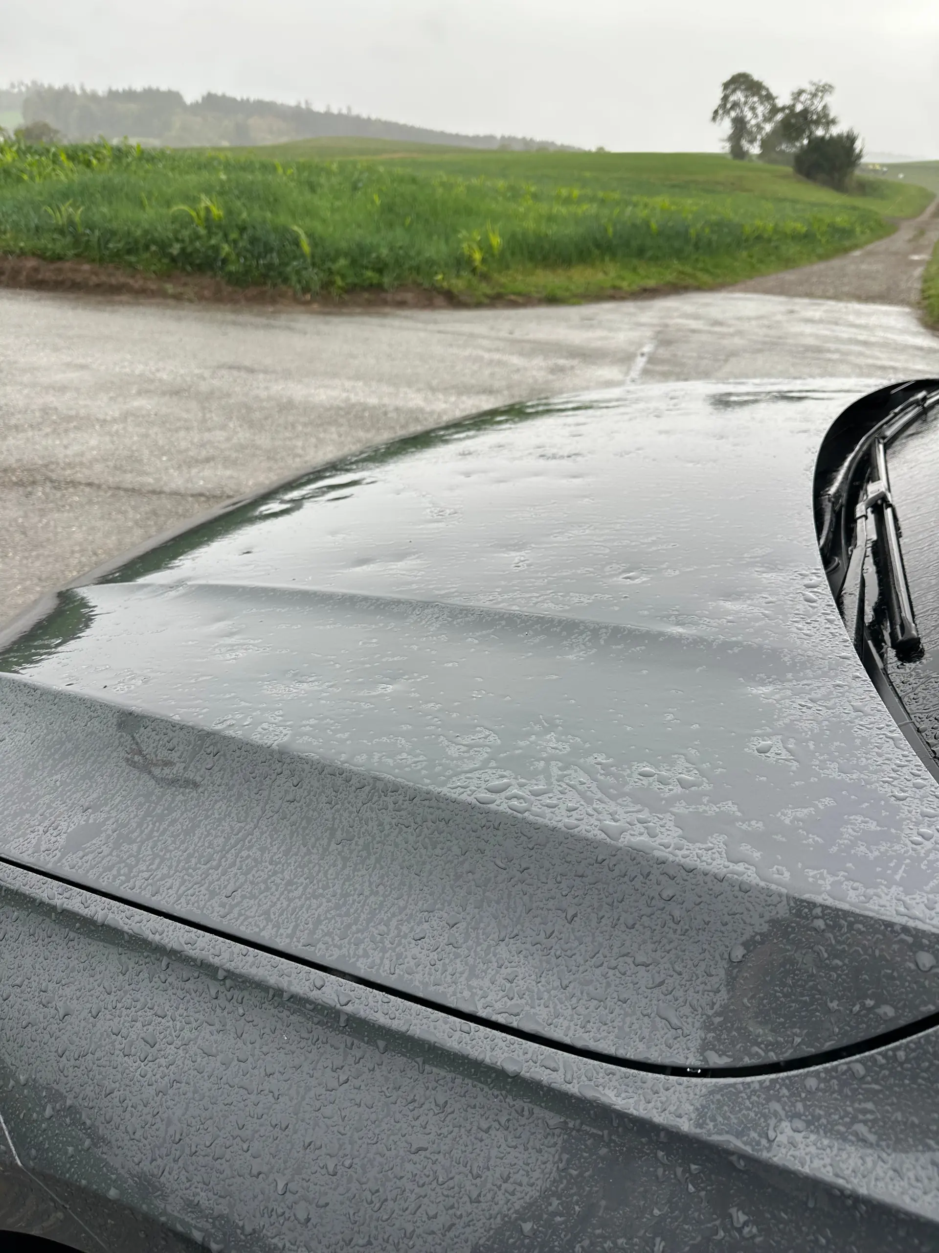 Volkswagen Golf 2020 occasion Winterthur — 5