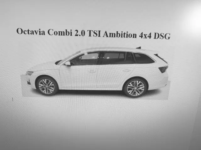 Skoda Octavia 2025 occasion Kreuzlingen — 1