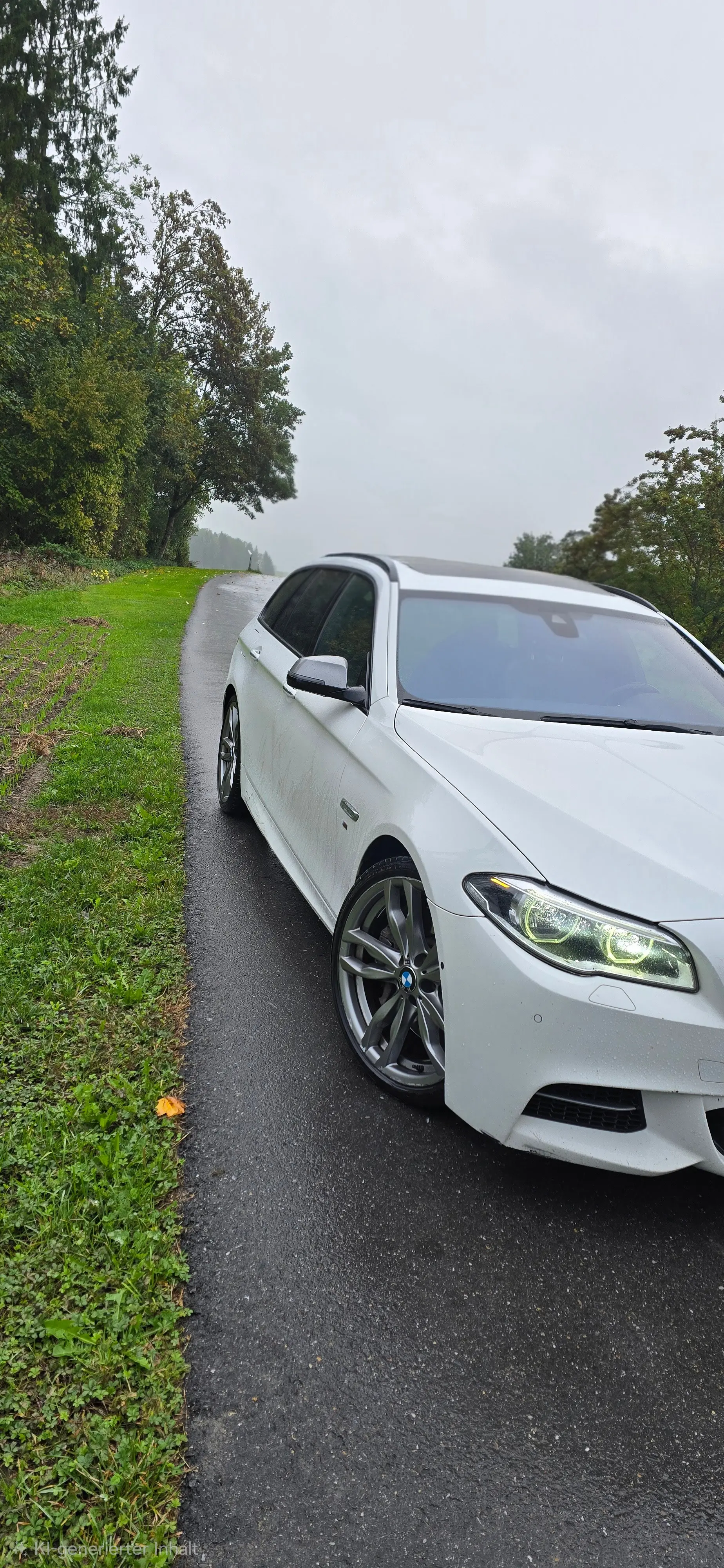 BMW M550 2016 occasion Cham — 2