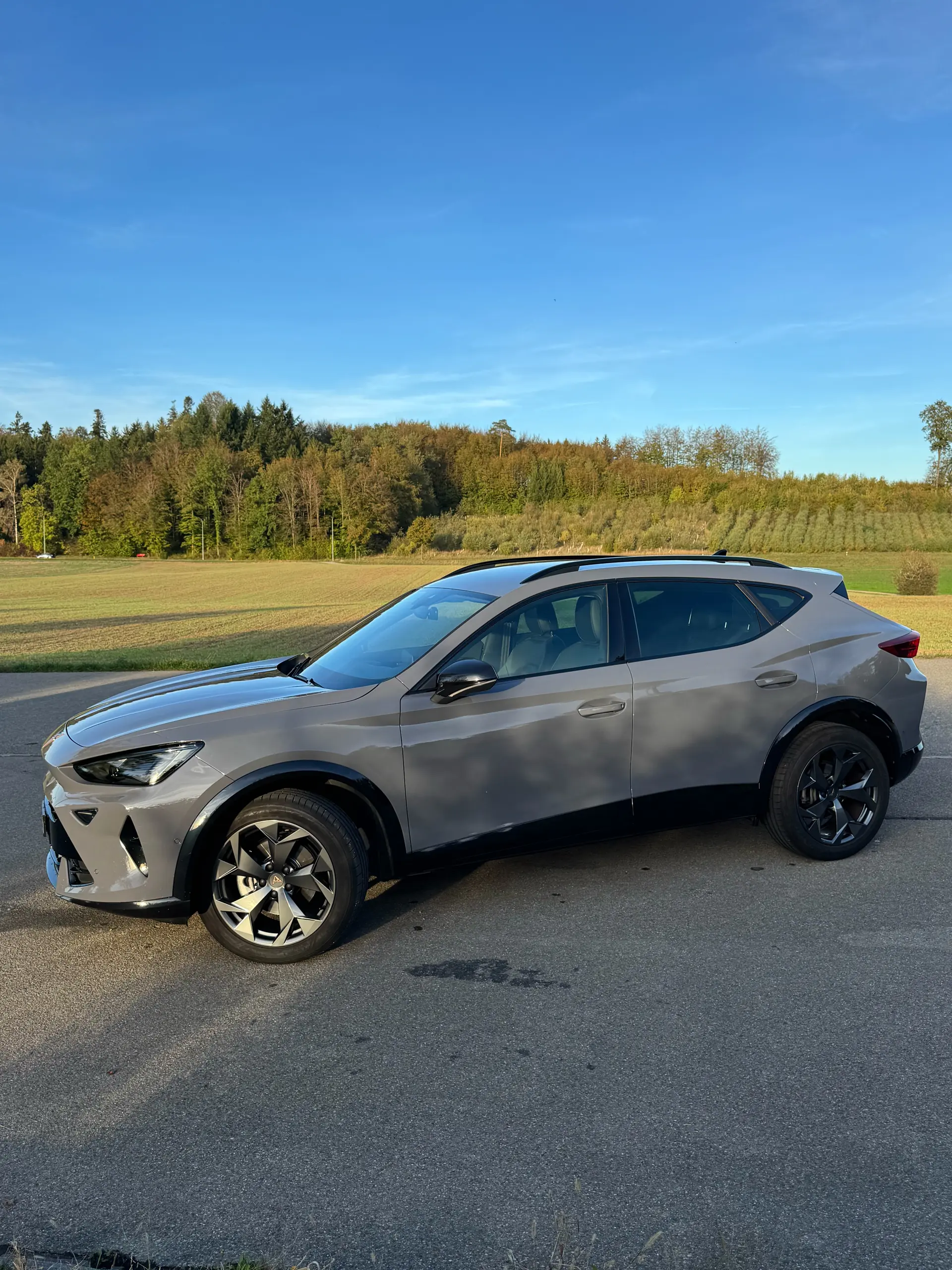 Cupra Formentor 2025 occasion Effretikon — 2