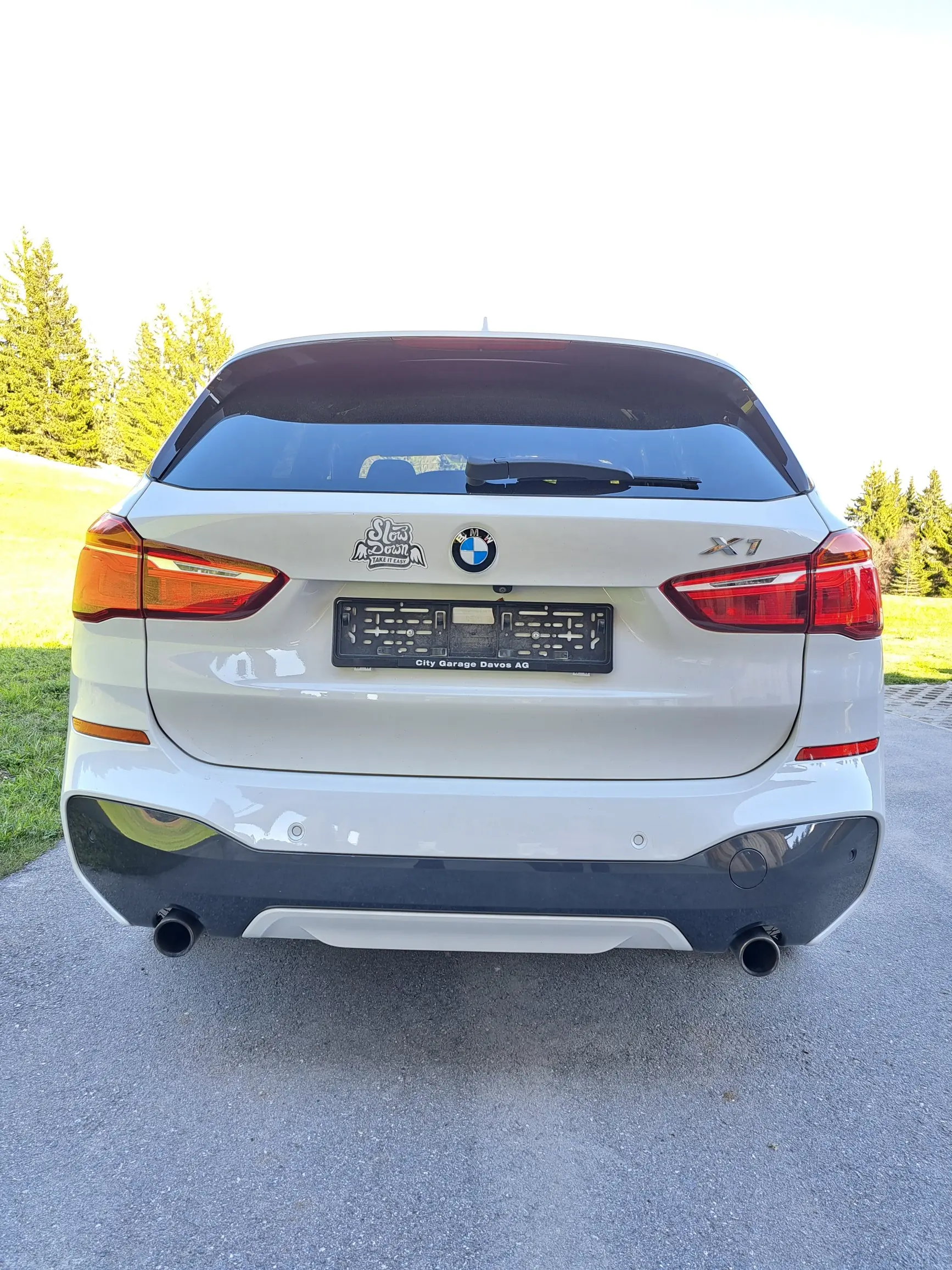 BMW X1 2016 occasion Pany — 2