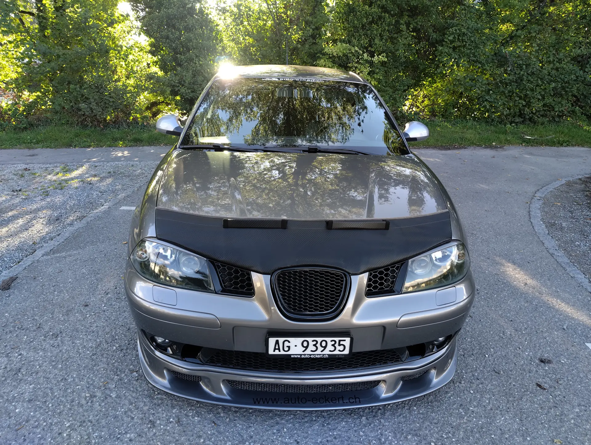 SEAT Ibiza 2004 occasion Turgi — 2