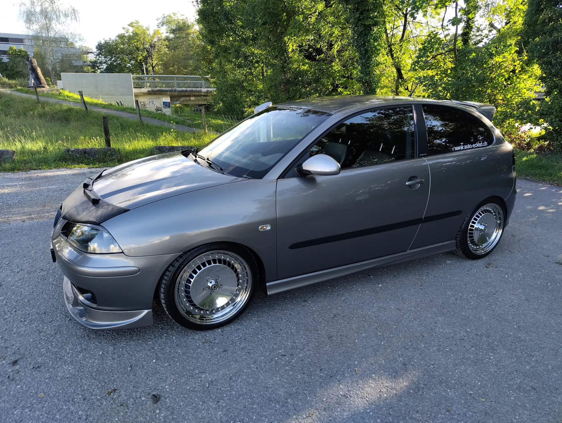 SEAT Ibiza 2004 occasion Turgi — 3
