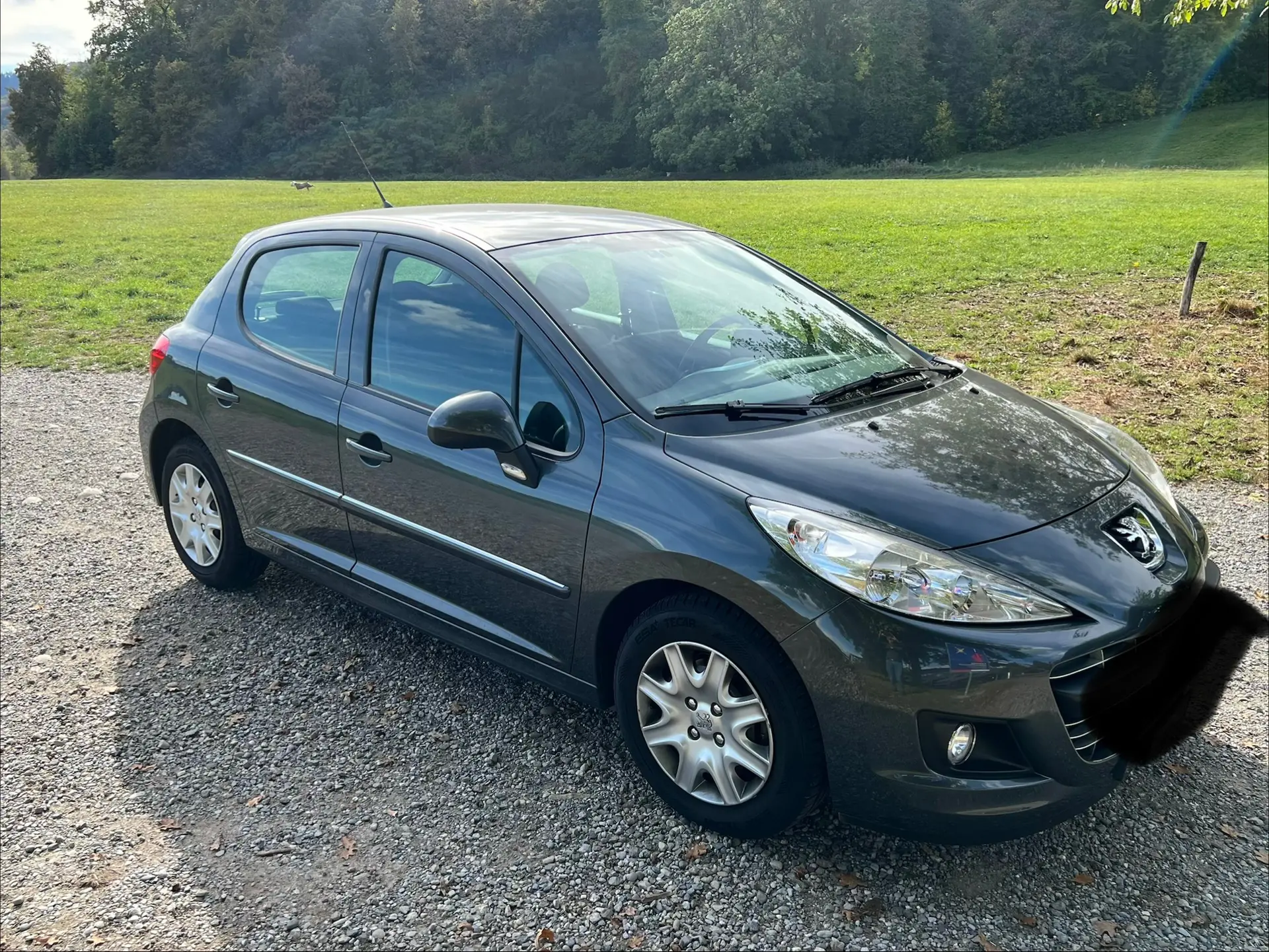 Peugeot 207 2012 occasion Zürich — 1
