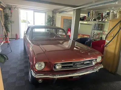 Ford Mustang V8 K Code 289cui GT Coupe 1966 — Légende américaine authentique — Heckansicht