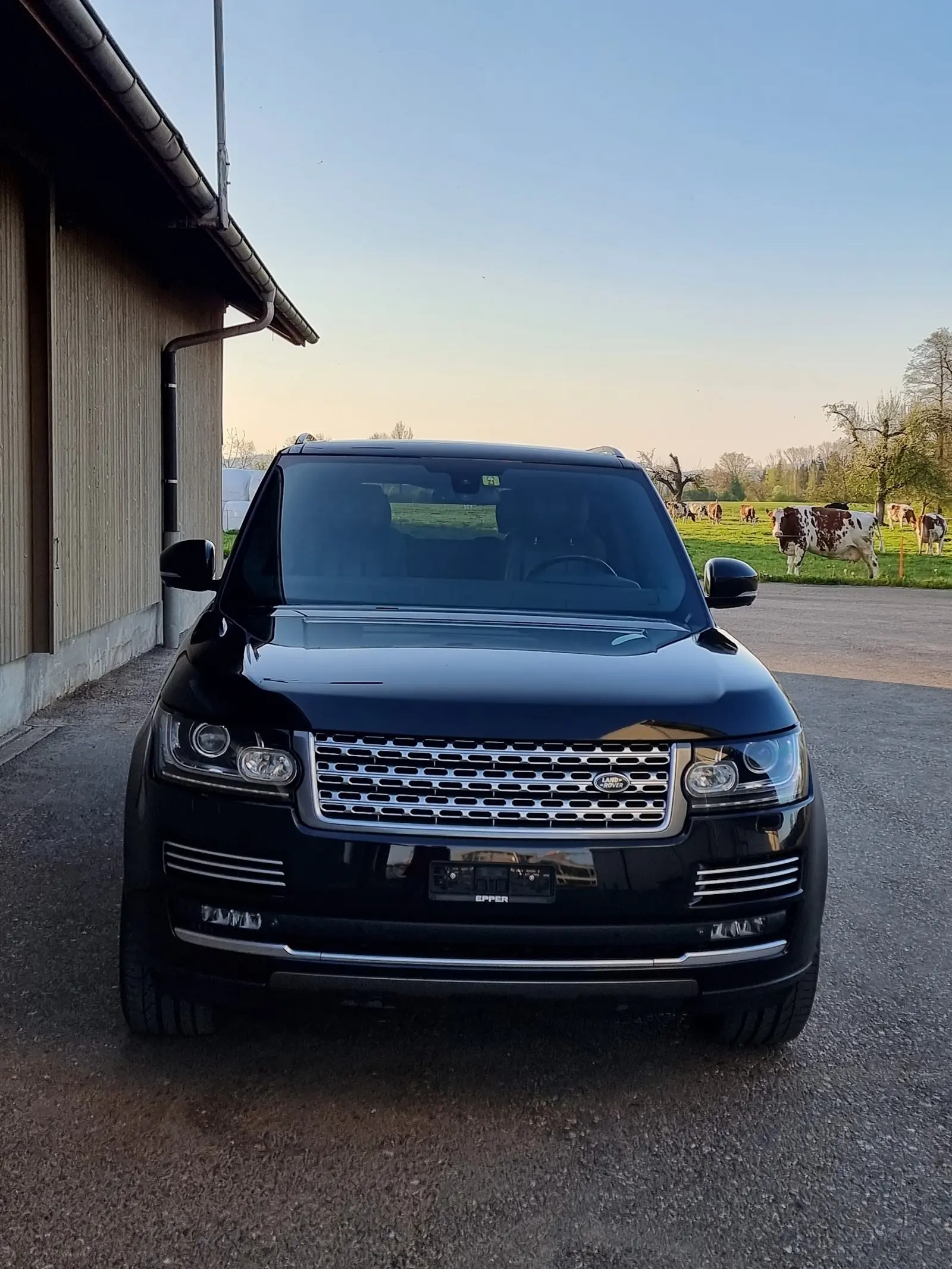 Land Rover Range Rover 2014 occasion Ottenbach — 3