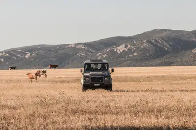 Land Rover Defender 110 2.2 TD4 — Le 4x4 légendaire, fiable et polyvalent — vista posteriore
