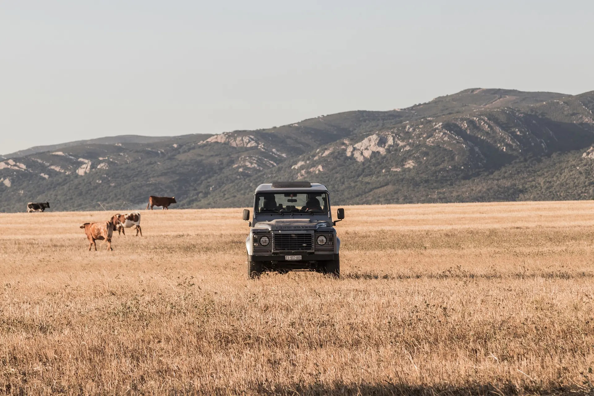 Land Rover Defender 2012 occasion Lugano — 3