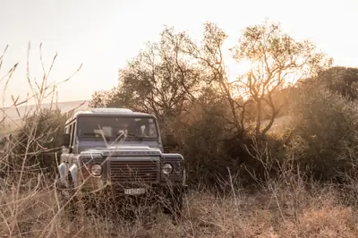 Land Rover Defender 110 2.2 TD4 — Le 4x4 légendaire, fiable et polyvalent — dettaglio