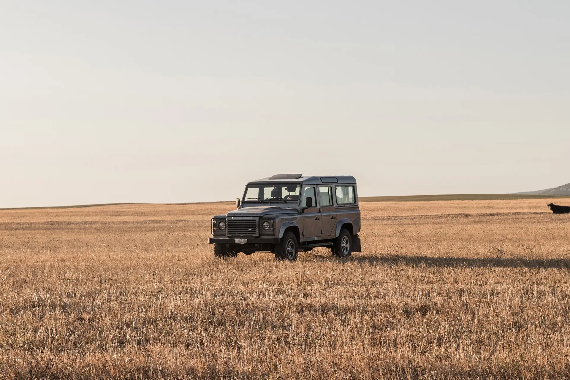 Land Rover Defender 2012 occasion Lugano — 5