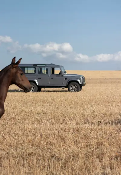 Land Rover Defender 110 2.2 TD4 — Le 4x4 légendaire, fiable et polyvalent — Miniatura 7