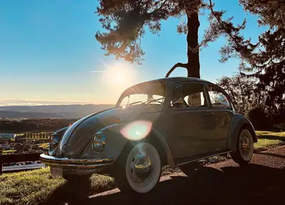 VW Käfer 1300 1968 — Légende restaurée, statut vétéran, état d'exception — Außenansicht