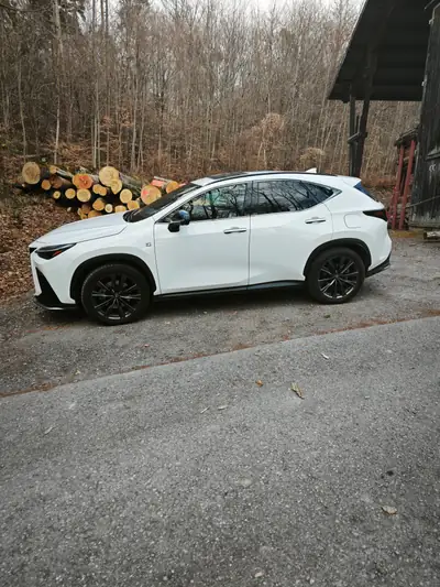 Lexus NX 450+ F-Sport 4WD — SUV hybride rechargeable, 22 800 km seulement — arrière