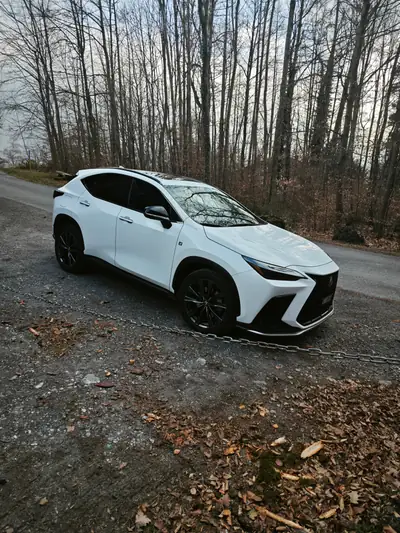 Lexus NX 450+ F-Sport 4WD — SUV hybride rechargeable, 22 800 km seulement — vue extérieure