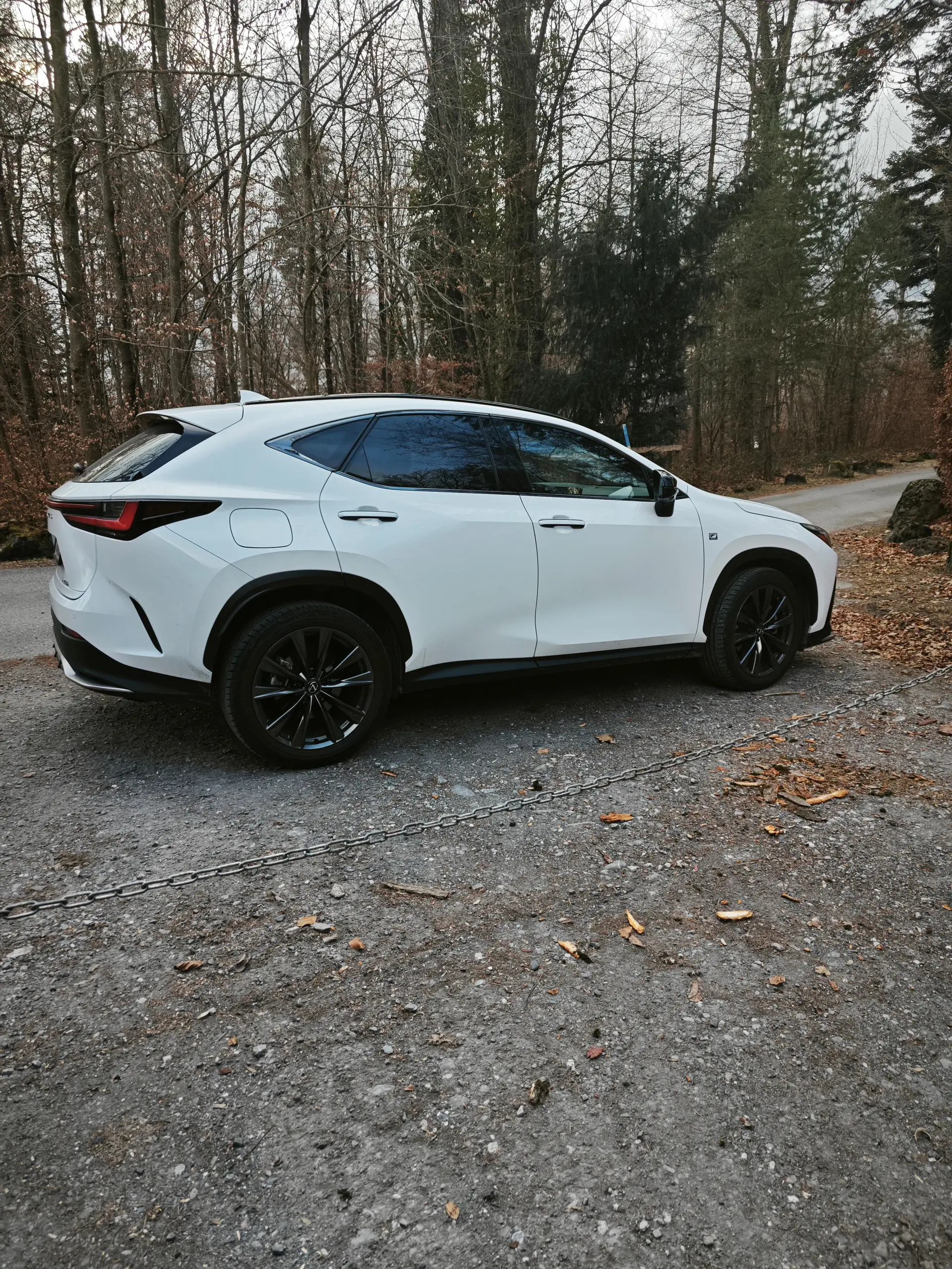 Lexus NX 2023 occasion Jona — 4