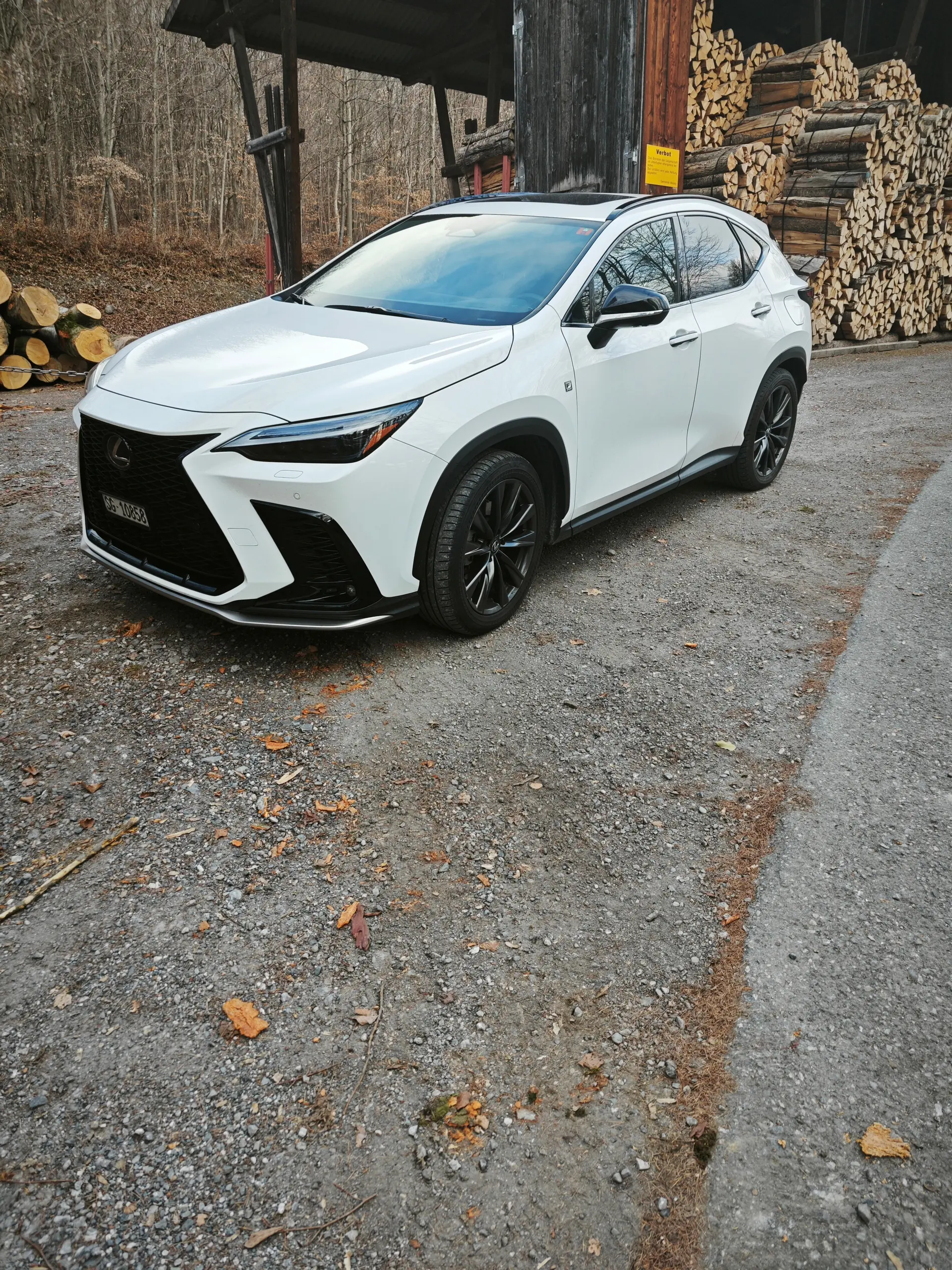 Lexus NX 2023 occasion Jona — 5