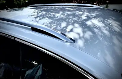 Volkswagen Tiguan 2.0 TDI SCR Highline 4Motion — SUV premium diesel, traction intégrale — Thumbnail 9