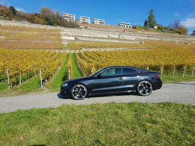 Audi RS5 Coupé 4.2 FSI — 450 ch, Quattro, Design noir intégral — detail