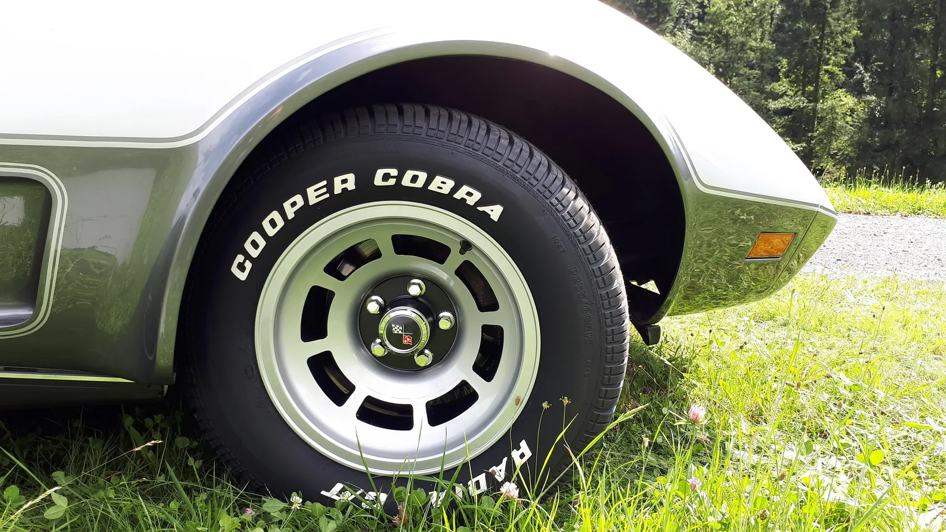 Chevrolet Corvette 1978 occasion St. Gallenkappel — 5