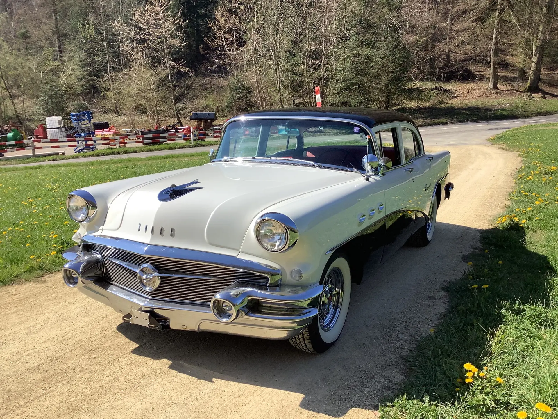 Buick Spezial 1956 occasion Arlesheim — 2
