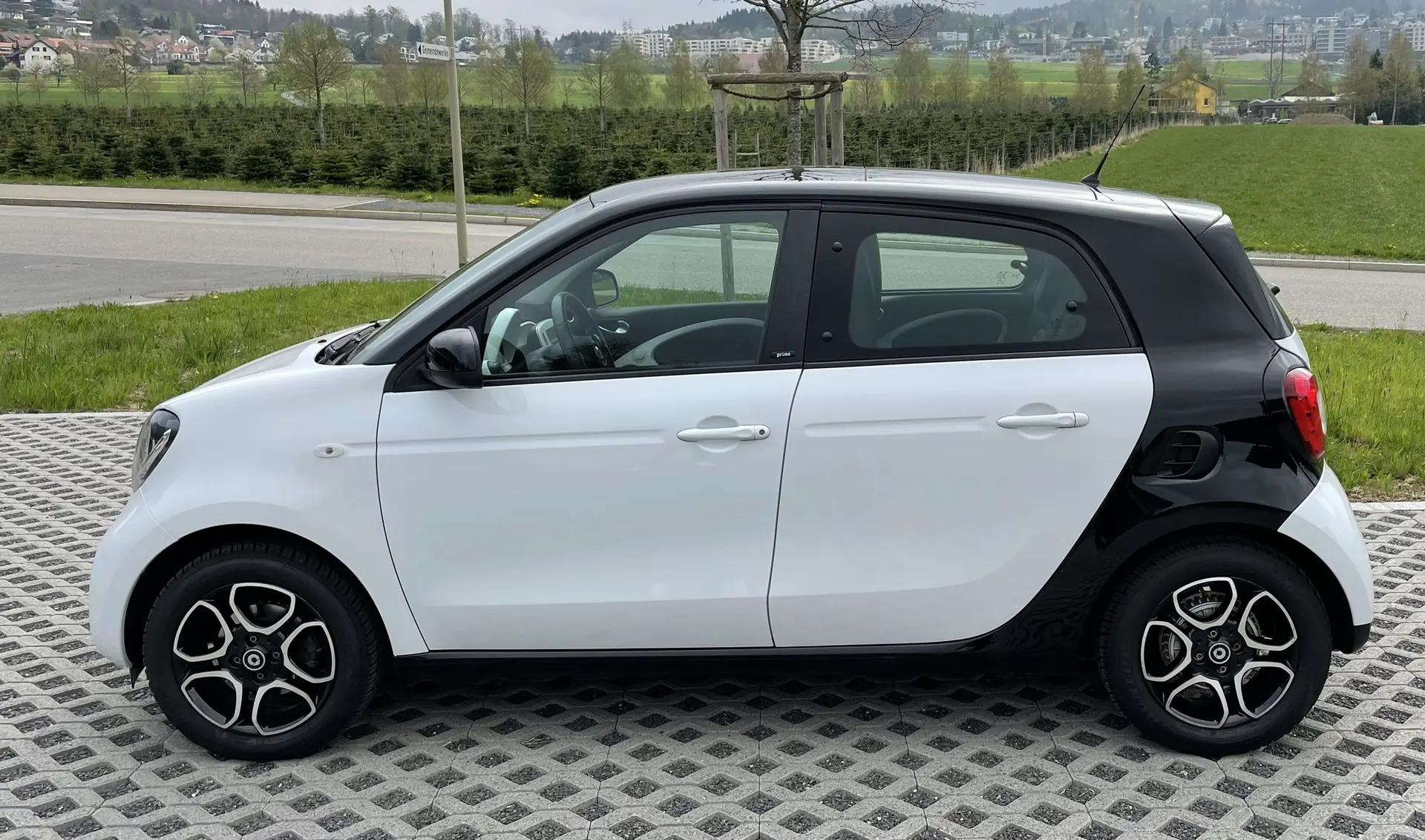 Smart Forfour 2015 occasion Regensdorf — 2