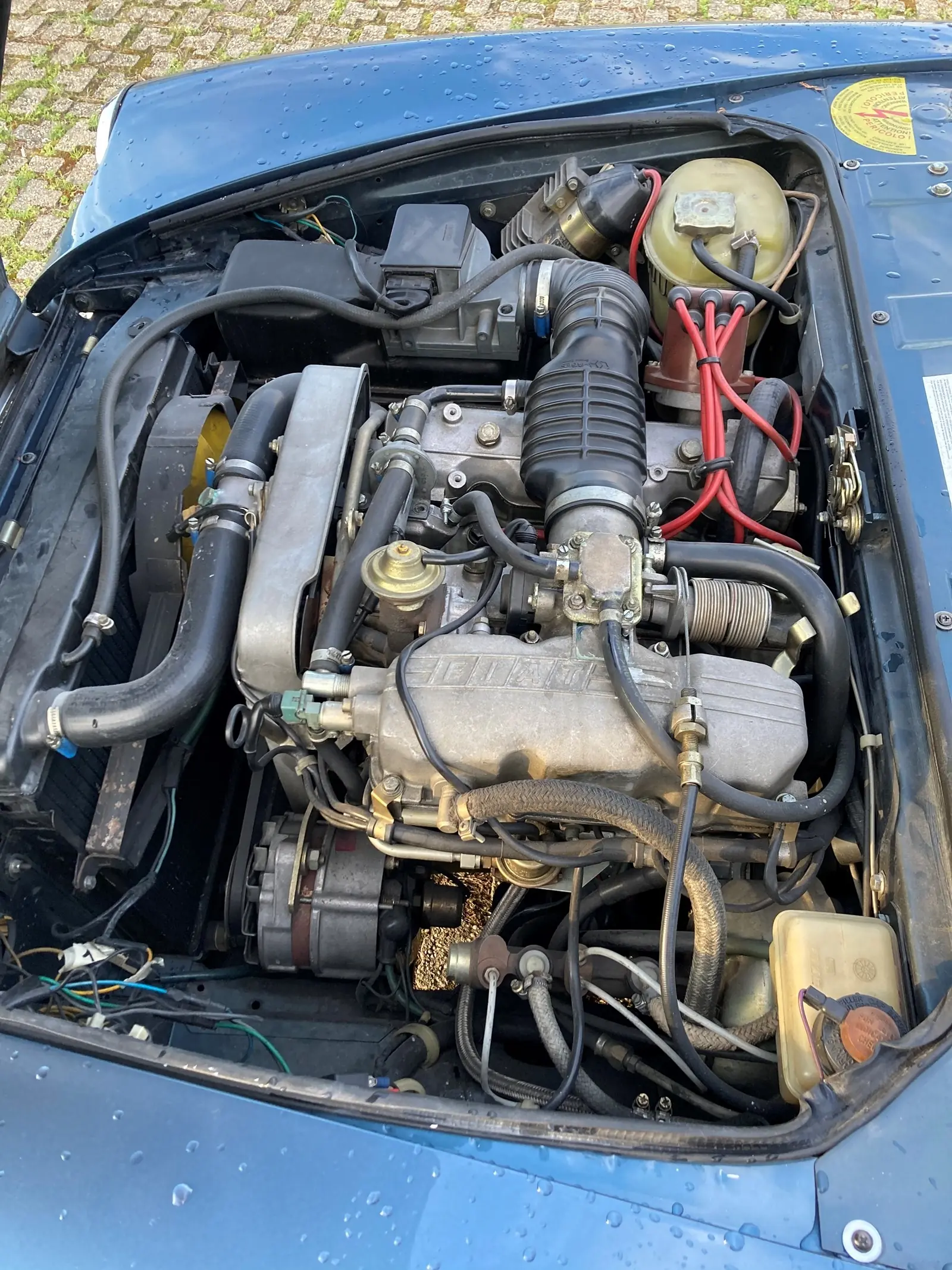 Fiat 124 Spider 1985 occasion Caslano — 3