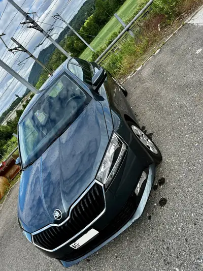 Skoda Fabia 1.0 MPI Ambition — Citadine fiable, 79000 km, sans sinistre — arrière