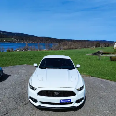 Ford Mustang Fastback 5.0 V8 GT — Muscle car légendaire, 422 ch et boîte manuelle — vista posteriore