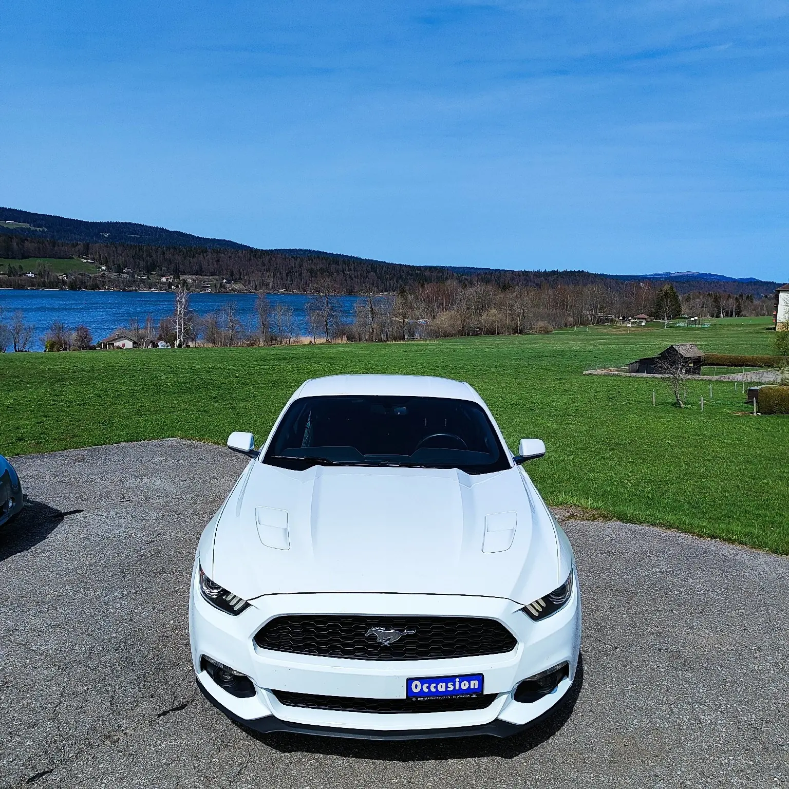 Ford Mustang 2015 occasion Les Bioux — 3