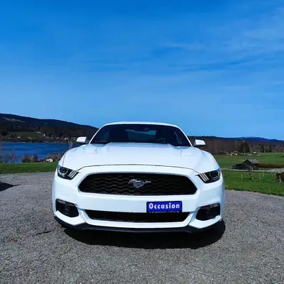 Ford Mustang Fastback 5.0 V8 GT — Muscle car légendaire, 422 ch et boîte manuelle — fianco