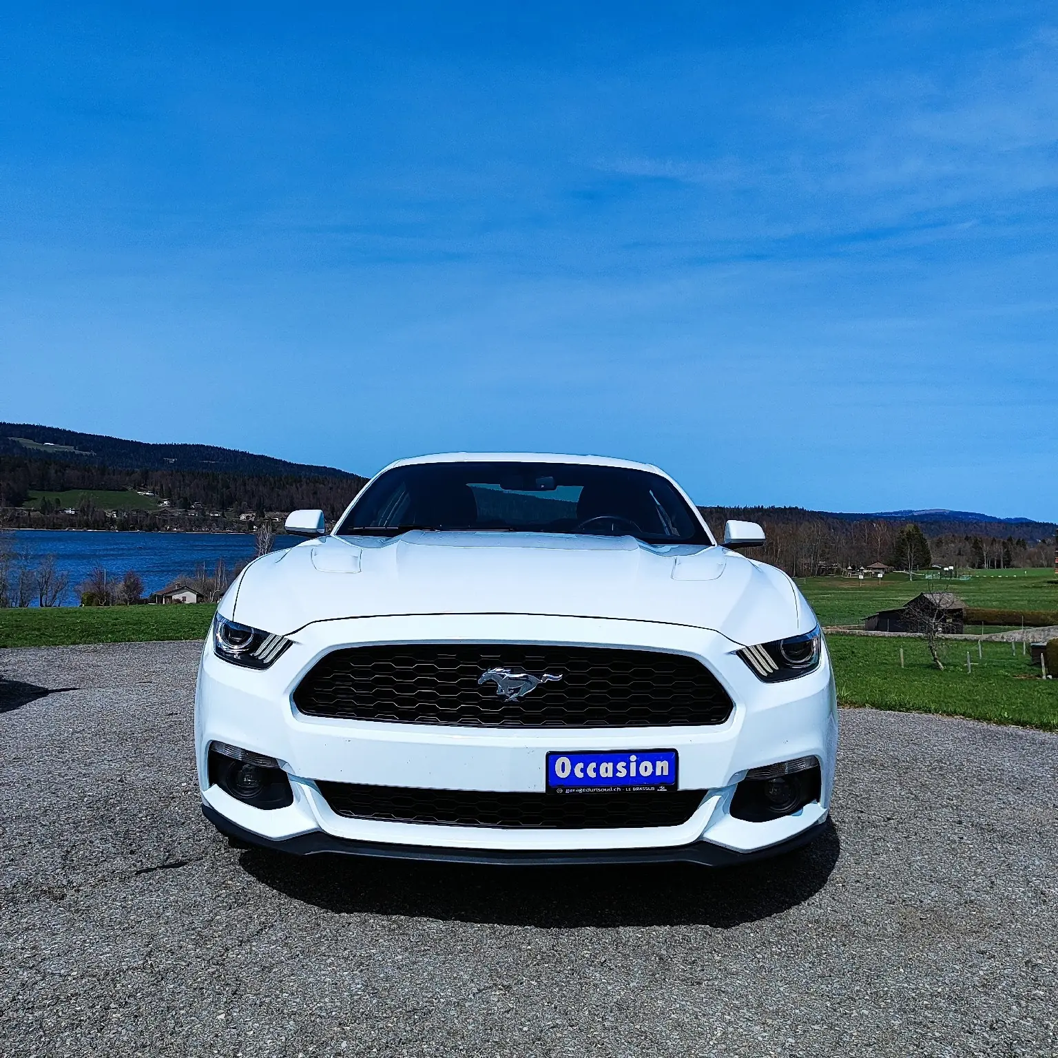 Ford Mustang 2015 occasion Les Bioux — 2