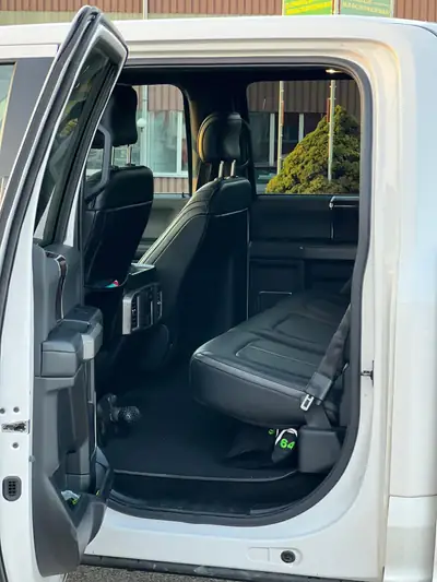 Ford F-150 Platinum Edition — Pickup robuste 370 ch, attelage amovible, 8 pneus — arrière