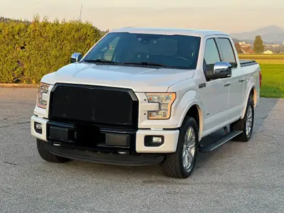 Ford F-150 Platinum Edition — Pickup robuste 370 ch, attelage amovible, 8 pneus — vue extérieure