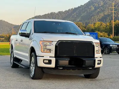 Ford F-150 Platinum Edition — Pickup robuste 370 ch, attelage amovible, 8 pneus — côté