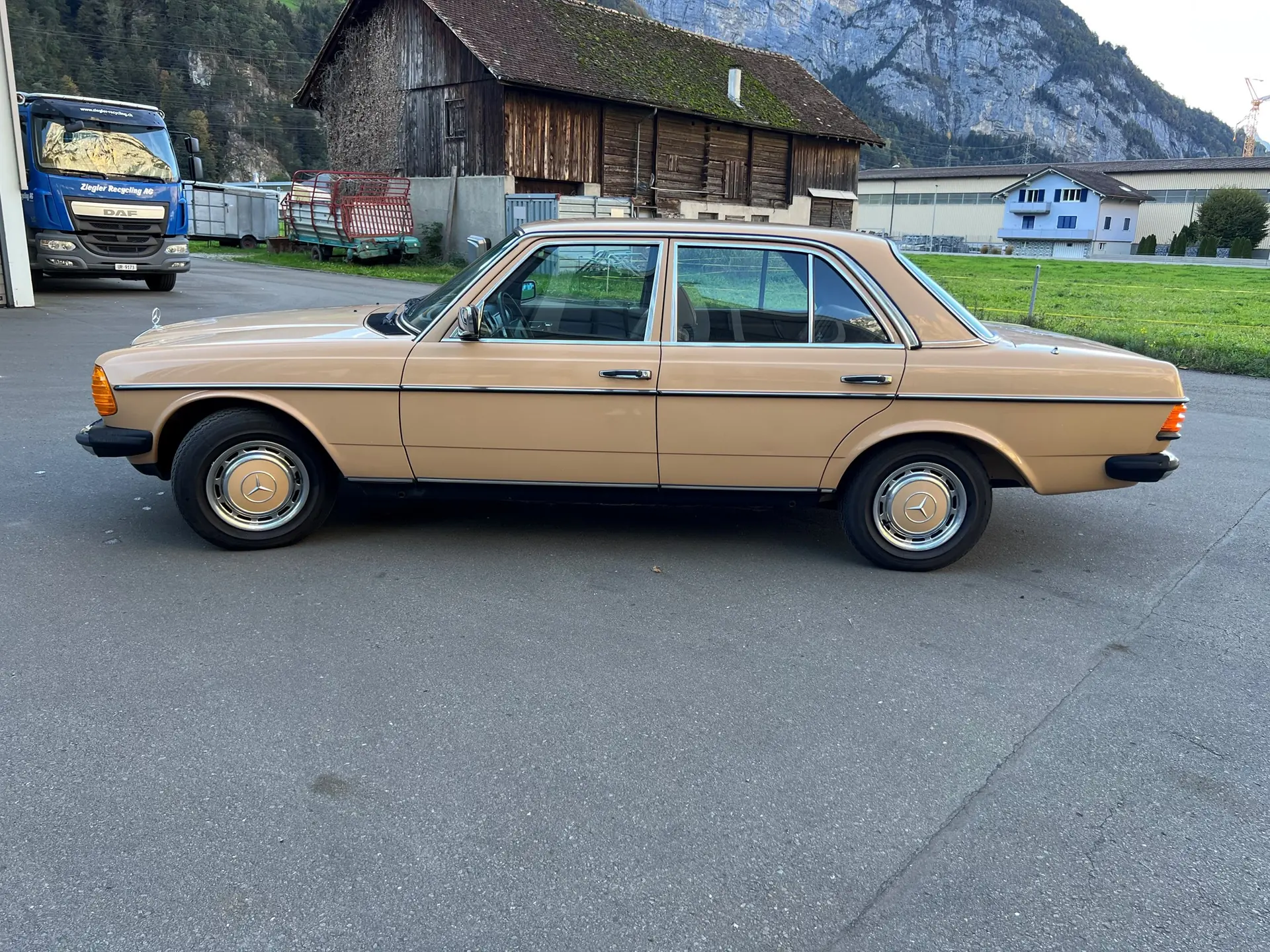 Mercedes-Benz 250 1978 occasion Luzern — 1
