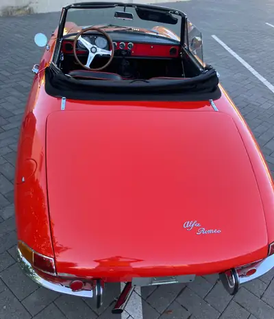 Alfa Romeo Spider 1600 Duetto Osso di Seppia 1966 — Cabriolet mythique, faible kilométrage — cruscotto