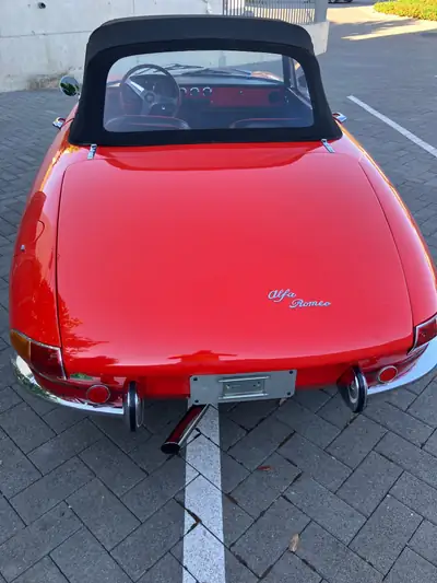 Alfa Romeo Spider 1600 Duetto Osso di Seppia 1966 — Cabriolet mythique, faible kilométrage — dettaglio