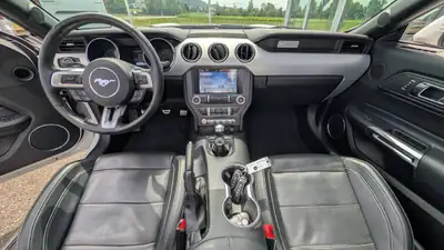 Ford Mustang 2017 — Muscle Car Américain 421 ch, Boîte Manuelle — détail