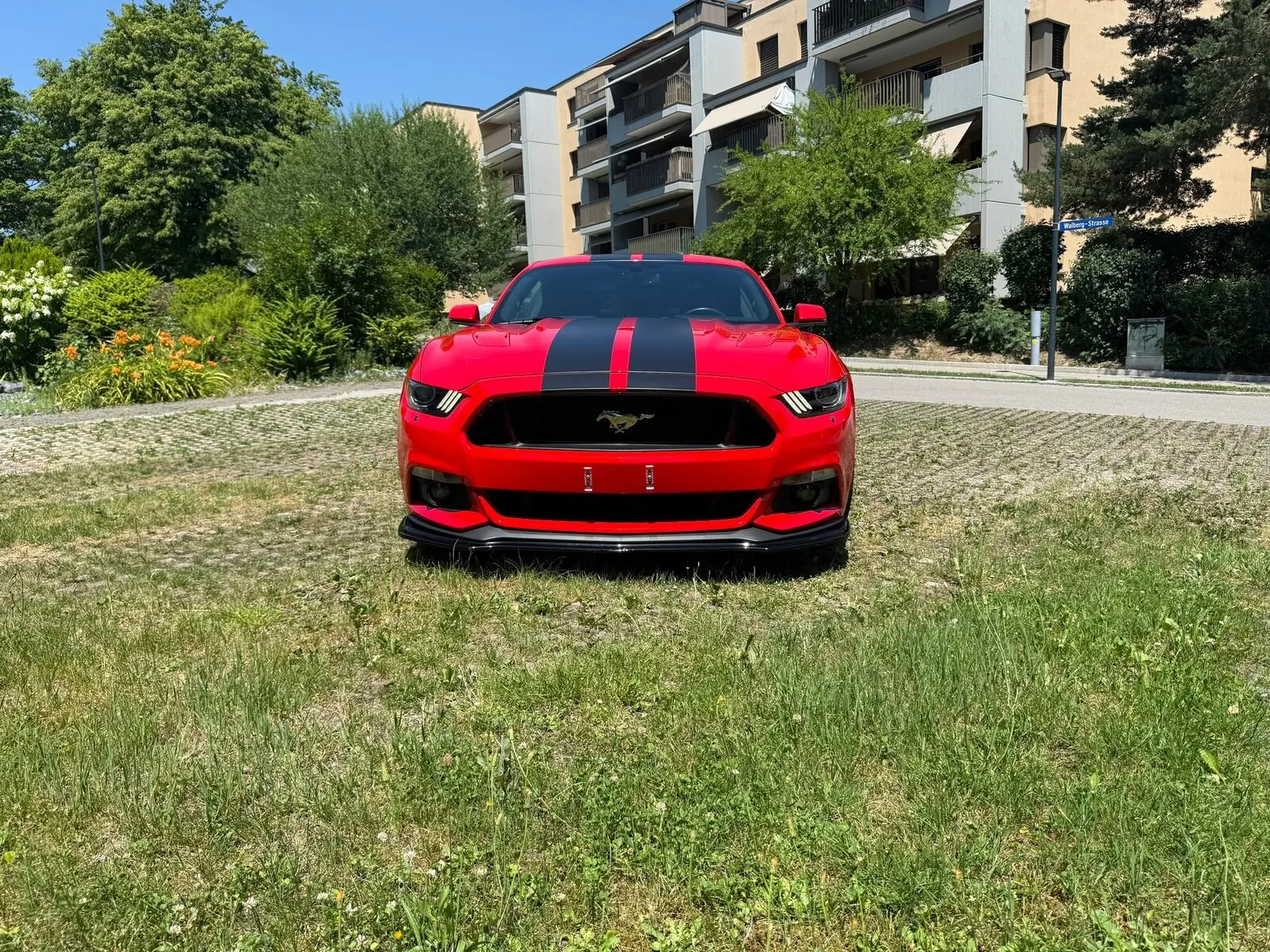 Ford Mustang 2017 occasion Effretikon — 3