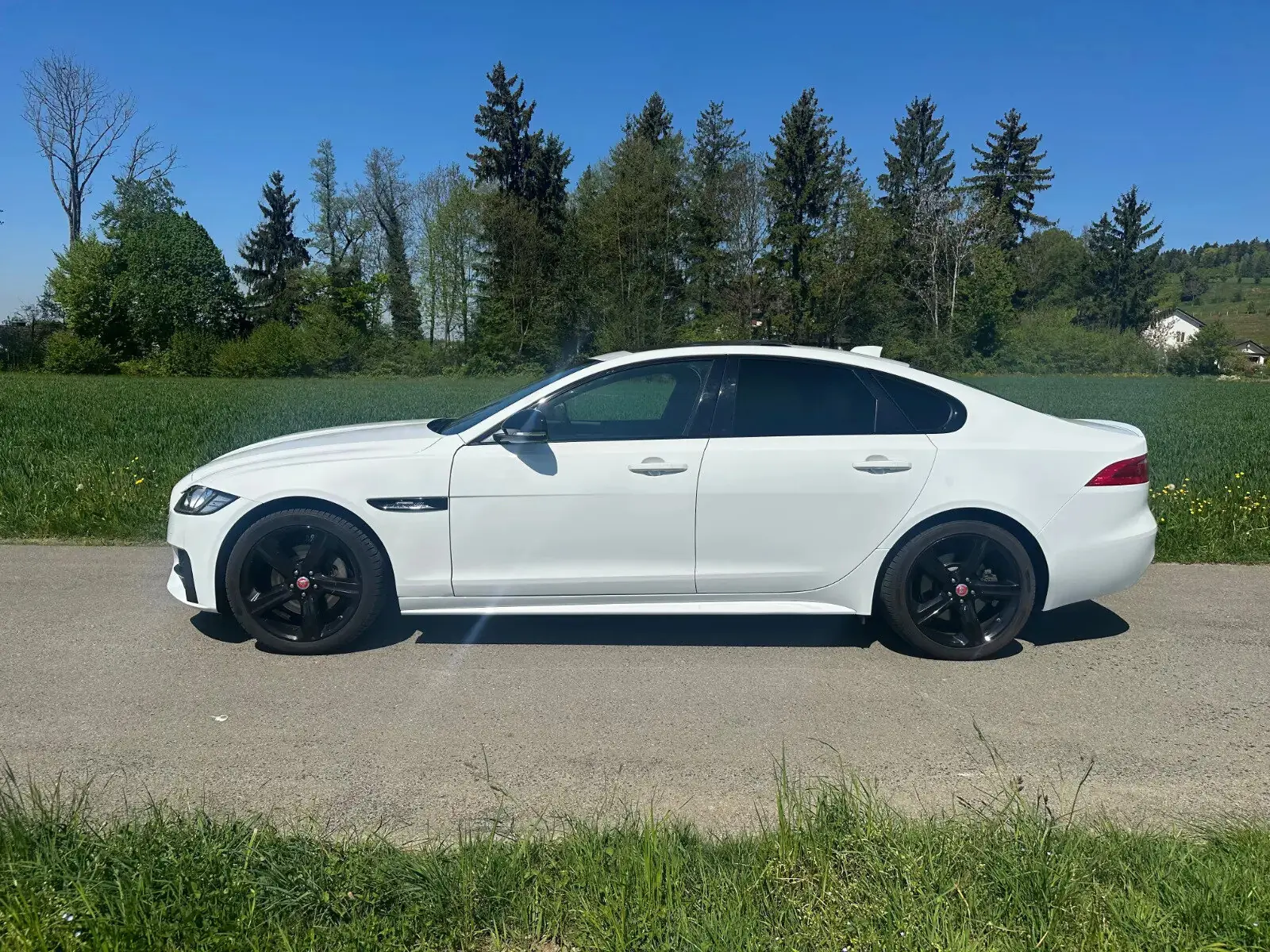 Jaguar XF 2018 occasion Fischenthal — 5