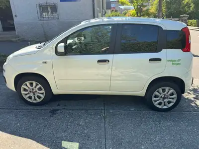 Fiat Panda Bi-Carburant — Économique et polyvalent, entretien impeccable — vista esterna