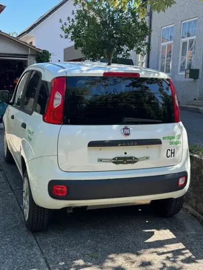 Fiat Panda Bi-Carburant — Économique et polyvalent, entretien impeccable — vista posteriore