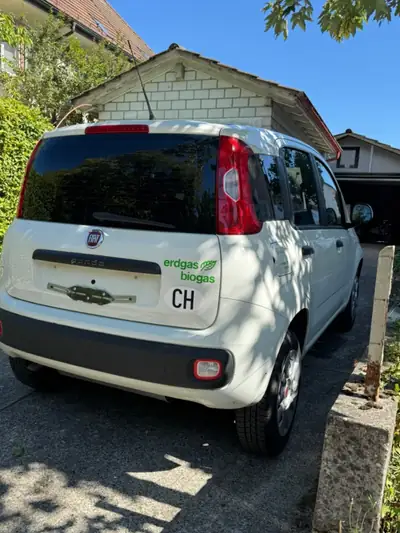 Fiat Panda Bi-Carburant — Économique et polyvalent, entretien impeccable — interni