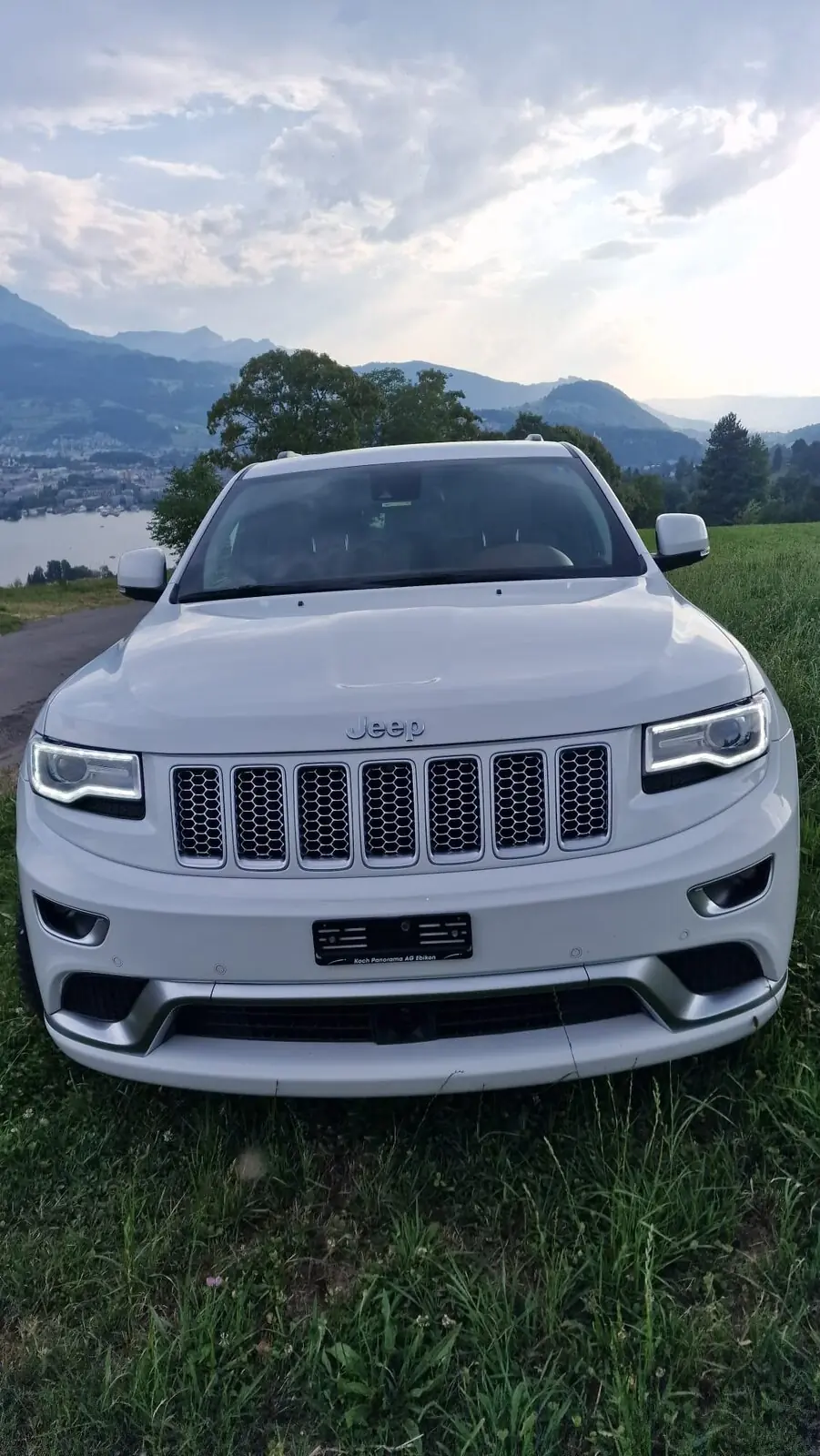 Jeep Grand Cherokee 2016 occasion Ebikon — 2